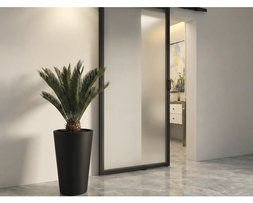 Zimmeransicht mit Schiebetür, Topfpflanze und Blick in ein Badezimmer