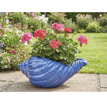 Geranien in einem blauen Muschel-Blumentopf im Garten.