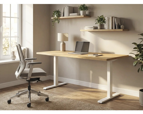 Einrichtung mit Schreibtisch, Bürostuhl und Regalen im Arbeitszimmer