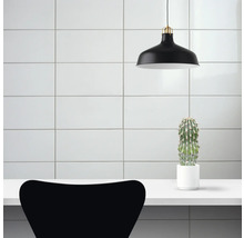 Innenraum mit schwarzer Hängelampe, Kaktus im Topf und Stuhl vor weiß gefliesener Wand