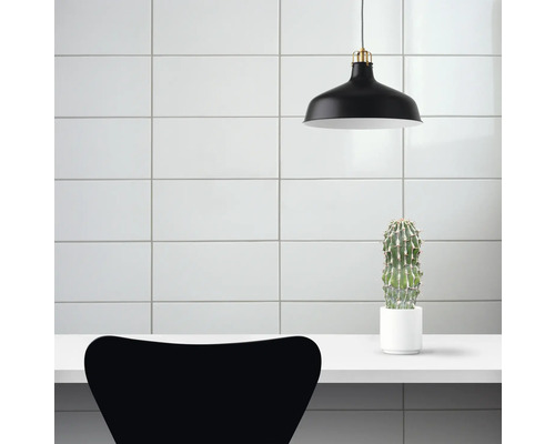 Innenraum mit schwarzer Hängelampe, Kaktus im Topf und Stuhl vor weiß gefliesener Wand