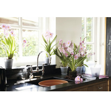 Küchenspüle mit Wasserhahn und mehreren Topfpflanzen mit rosa Blüten