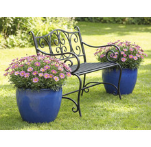 Gartenbank mit Blumen in Blumentöpfen auf Rasen