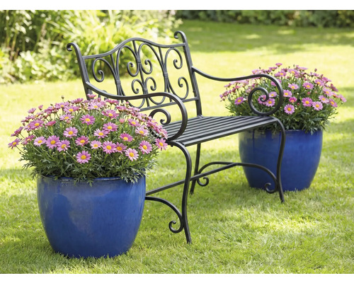 Gartenbank mit Blumen in Blumentöpfen auf Rasen