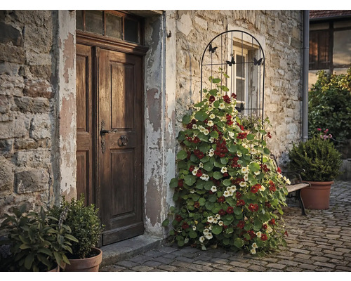 Außenansicht eines Hauses mit Holztür und Rankgitter mit blühenden Kapuzinerkresse Pflanzen