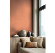 Wohnzimmer mit Couch, Zierkissen und Wand in Terracotta