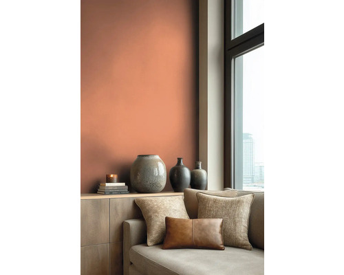 Wohnzimmer mit Couch, Zierkissen und Wand in Terracotta