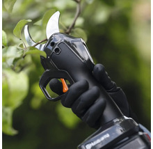 Eine Person benutzt eine Akku-Gartenschere an einem Baum.