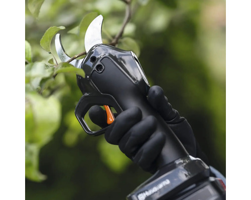 Eine Person benutzt eine Akku-Gartenschere an einem Baum.