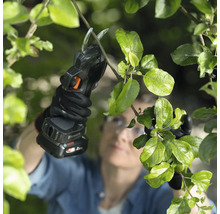 Eine Person verwendet eine Akku-Gartenschere zum Beschneiden eines Astes.
