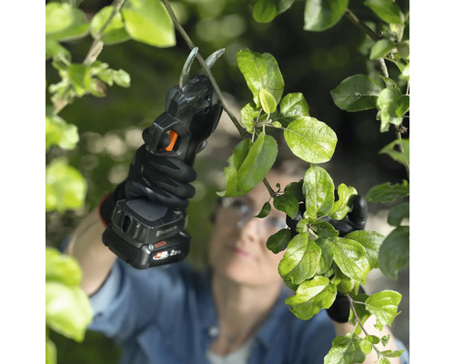 Eine Person verwendet eine Akku-Gartenschere zum Beschneiden eines Astes.