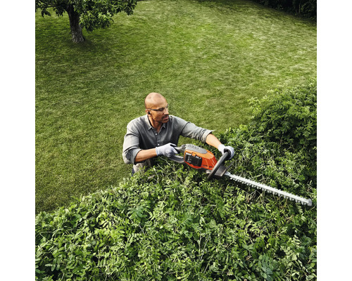 Eine Person schneidet eine Hecke mit einer Heckenschere in einem Garten.