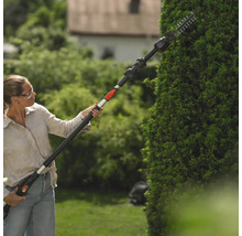 Frau schneidet Hecke mit einer Akku-Heckenschere mit Teleskopstiel im Garten.