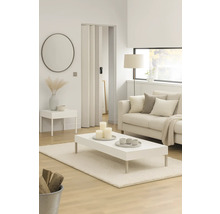 Wohnzimmer mit Sofa, Tisch, Teppich, Spiegel und Falttür