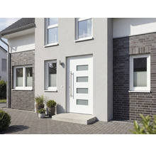 Hausfassade mit Haustür, Fenstern und Pflanzen in Töpfen