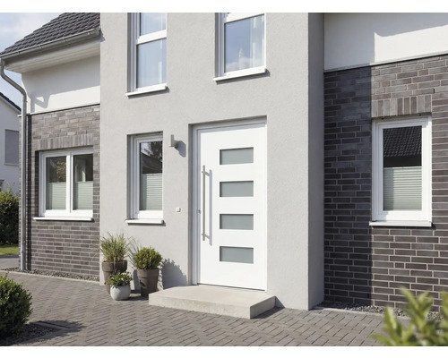 Hausfassade mit Haustür, Fenstern und Pflanzen in Töpfen