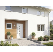 Modernes Haus mit Haustür, Fenstern und Außenbereich