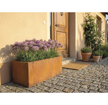 Außenaufnahme eines Blumenkastens aus Metall vor einer Haustür mit Pflastersteinen.