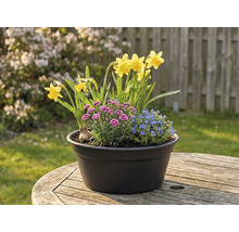 Blumenarrangement mit Narzissen, Nelken und Vergissmeinnicht in einem Topf auf einem Holztisch