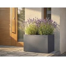 Rechteckiger Pflanzkasten aus Metall mit Lavendel vor einer Haustür