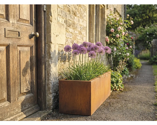 Rechteckiger Pflanzkasten aus Metall mit Zierlauch neben einer Haustür