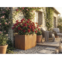 Dekorativer Gartenbereich mit Rosen in Pflanzgefässen und Sitzgelegenheiten