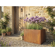 Szene mit einem Pflanzkasten aus Stahl, der lila Blumen enthält, vor einer Haustür aus Holz.