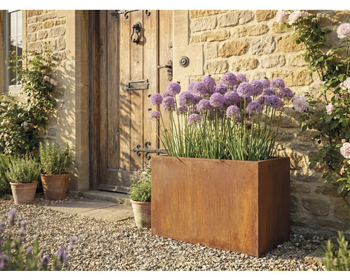Szene mit einem Pflanzkasten aus Stahl, der lila Blumen enthält, vor einer Haustür aus Holz.