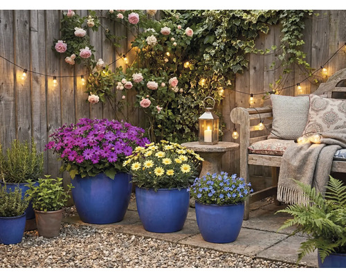 Dekorativer Gartenbereich mit Gartenmöbeln, Pflanzen und Beleuchtung