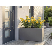 Grauer Pflanzkasten mit gelben Rosen vor Haustür