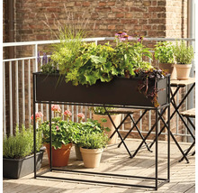 Dekorative Bepflanzung in einem Pflanzkasten mit Gestell auf einem Balkon