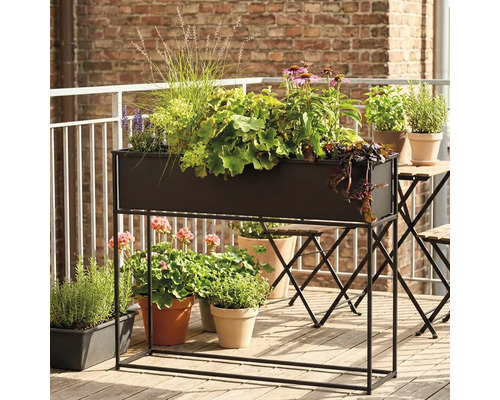 Dekorative Bepflanzung in einem Pflanzkasten mit Gestell auf einem Balkon