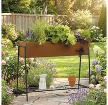 Hochbeet aus Metall mit Pflanzen im Garten.