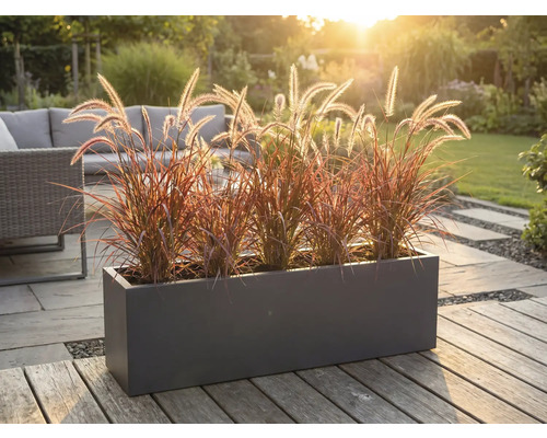 Dekorative Pflanzbox mit Ziergräsern auf einer Terrasse