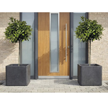 Dekorative Laubbäume in quadratischen Pflanzkübeln vor einer Haustür