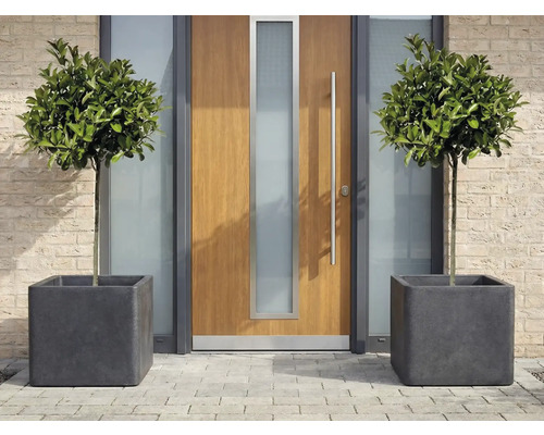 Dekorative Laubbäume in quadratischen Pflanzkübeln vor einer Haustür