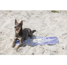 Hund liegt auf einem Strandtuch im Sand