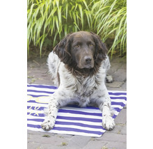 Münsterländer Hund liegt auf einer gestreiften Strandmatte