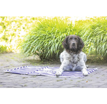 Ein Hund liegt auf einer blau-weiss gestreiften Strandmatte im Garten.