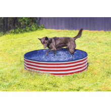 Hund im Planschbecken für Hunde mit Streifenmuster