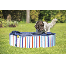 Hund steigt in einen gestreiften Hunde Pool auf einer Wiese