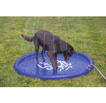 Hund steht in einem runden Planschbecken mit Wassersprinklern auf einer Wiese