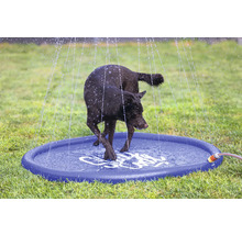 Hund erfrischt sich auf einer Wasserspielmatte im Garten.
