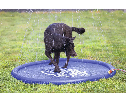 Hund erfrischt sich auf einer Wasserspielmatte im Garten.