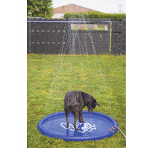 Ein Hund steht in einem blauen Planschbecken, das mit Wasser besprüht wird, im Garten.