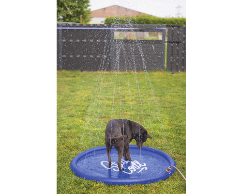 Ein Hund steht in einem blauen Planschbecken, das mit Wasser besprüht wird, im Garten.