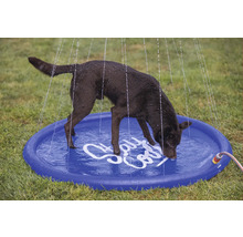 Ein Hund trinkt aus einer blauen Planschbecken-Dusche im Garten.