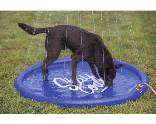 Ein Hund trinkt aus einer blauen Planschbecken-Dusche im Garten.