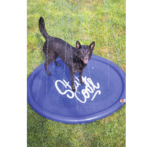 Ein Hund steht auf einem runden, blauen Wasserspielplatz mit der Aufschrift Stay Cool, während Wasserstrahlen von oben herabregnen.