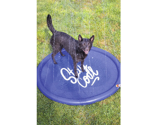 Ein Hund steht auf einem runden, blauen Wasserspielplatz mit der Aufschrift Stay Cool, während Wasserstrahlen von oben herabregnen.